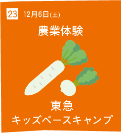 23 12月6日(土) 農業体験 東急キッズベースキャンプ