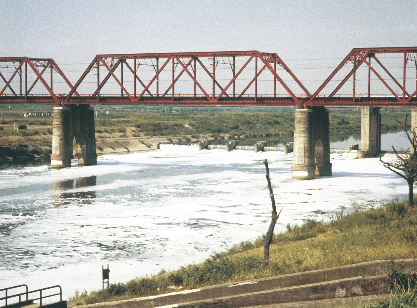 東横線丸子橋付近の水質の変化（1973年）