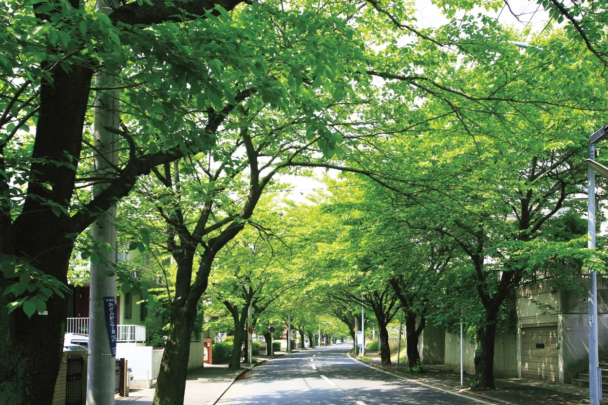 多摩田園都市の街並み