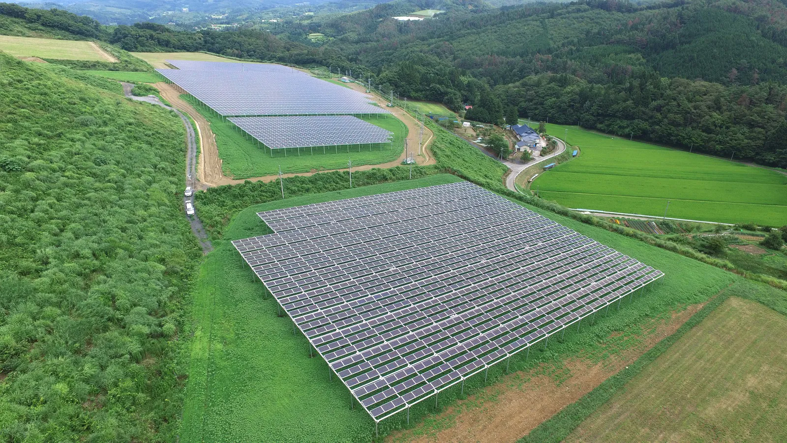 農業と太陽光発電を両立するソーラーシェアリング