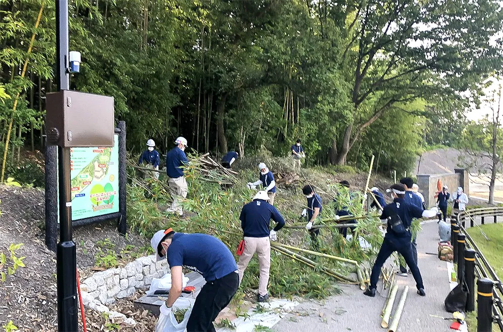 竹林伐採や清掃活動
