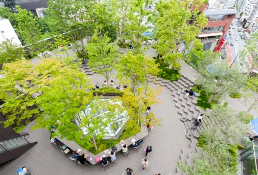 屋上緑化(おもはらの森)