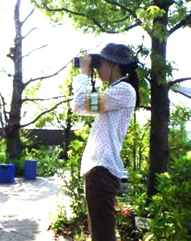 観察調査(おもはらの森)
