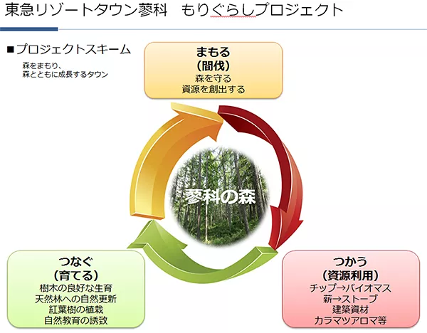 森林保全サイクルのイメージ図