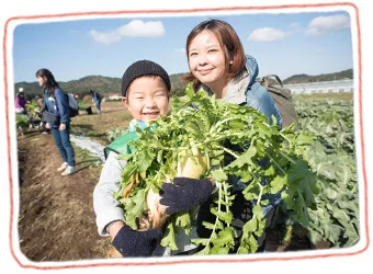 大きな野菜をたくさん収穫