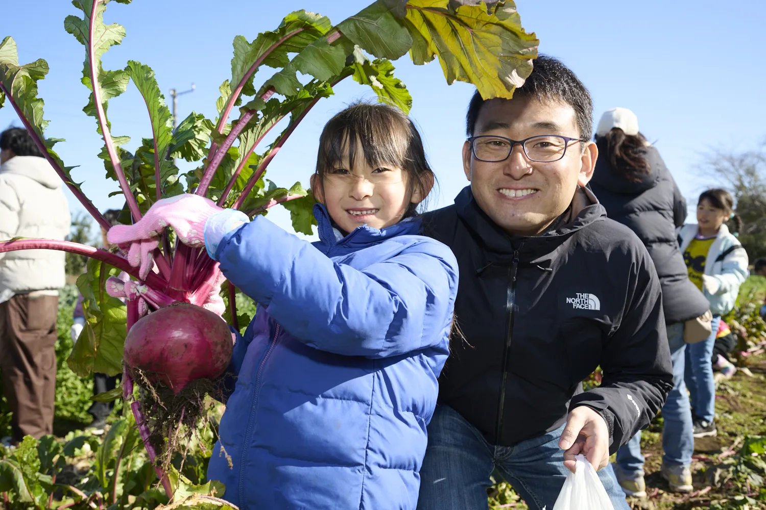 農業体験をして、旬の野菜をたのしもう!
