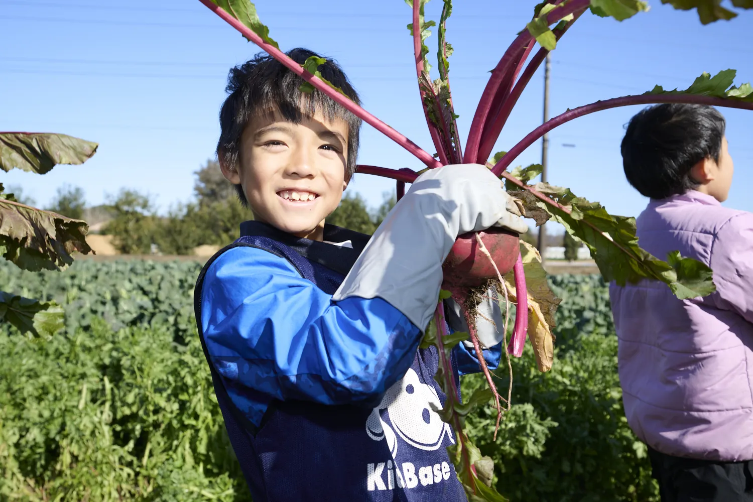 広い畑を歩き回って大きく育った野菜を探します