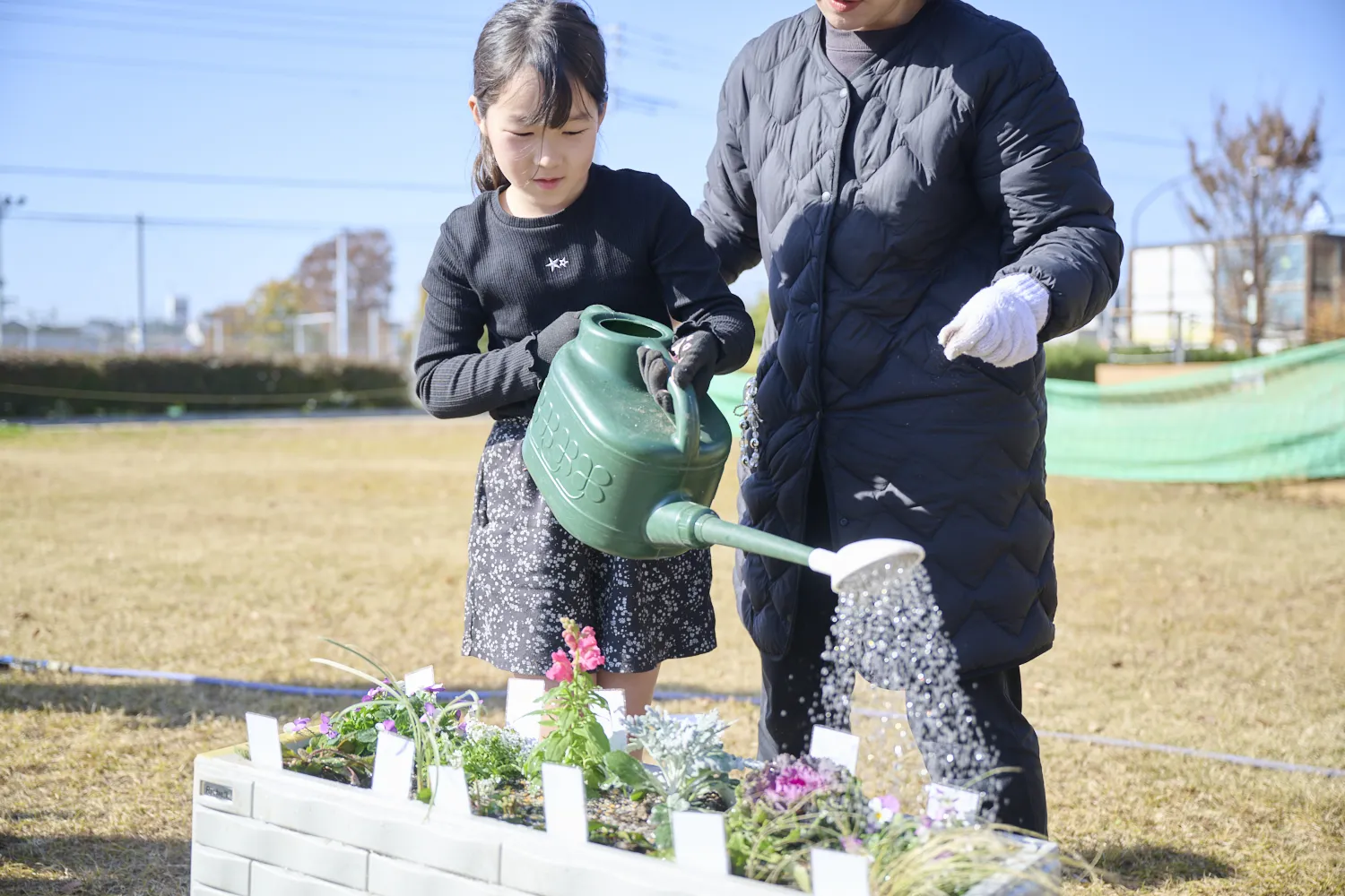 じょうろで水をたっぷりあげたら、寄せ植え作業は終了